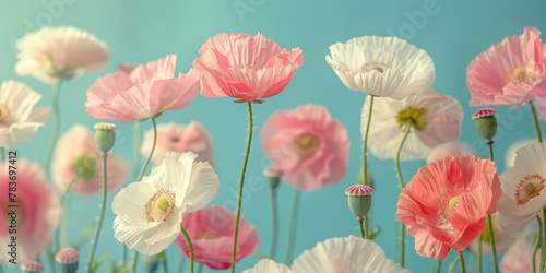 Ethereal Pastel Poppies on Serene Sky Background
