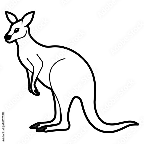 kangaroo with baby