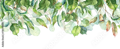 Long seamless banner with hanging leaves. Watercolor hand painted realistic botany header design (ID: 783710800)