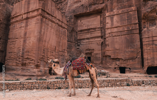 The red rose city of Petra 