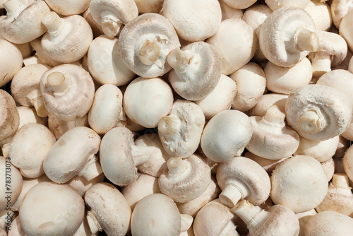 Background of fresh whole mushrooms champignon, close up. Raw white champignon mushrooms on at farmers market.