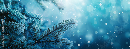 Pine tree branch bokeh winter snow abstract blue background, copy space 