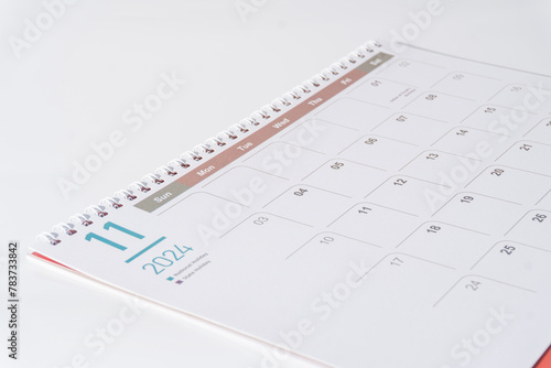 November calendar of 2024 displayed on white backgound. 
