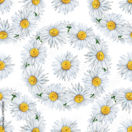 Seamless pattern of watercolor chamomile flowers wreath. Botanical hand painted floral elements. Hand drawn illustration. On white background. For fabric, wrapping paper, wallpaper decor