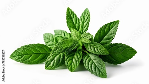  Fresh mint leaves perfect for a mojito