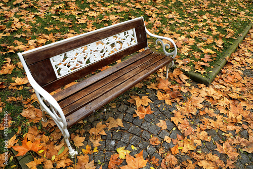 close up retro style empty park bench and fallen colorful autumn leaves