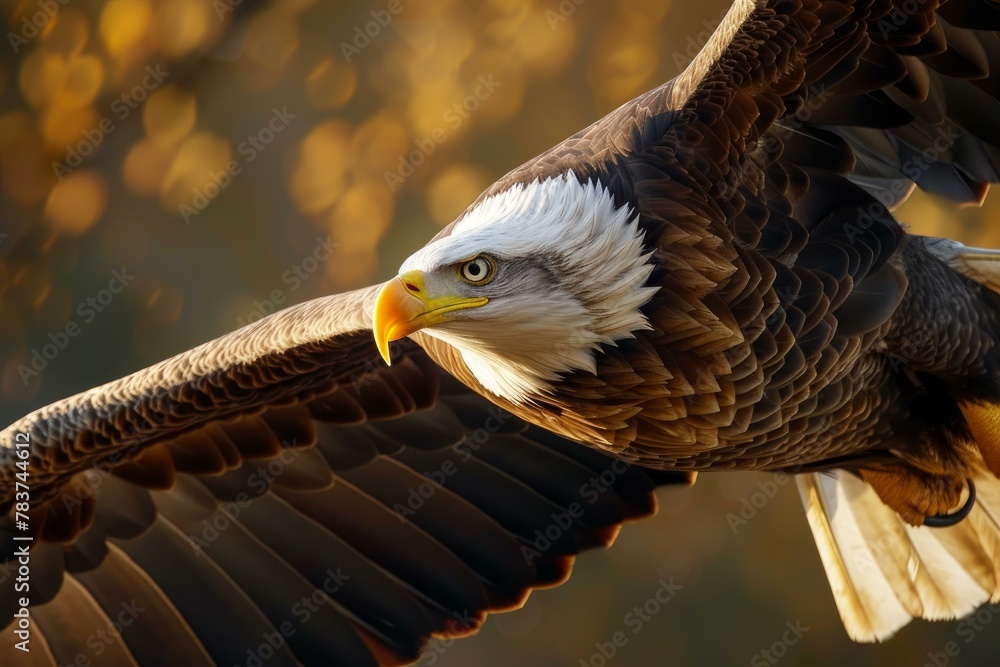 Fototapeta premium Majestic Eagle bird. Sky natural sea. Generate Ai