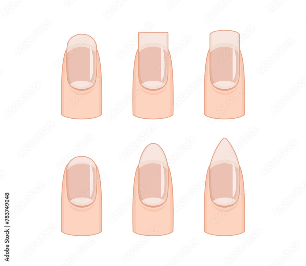 A set of six different nail shapes, each with a unique design. The shapes range from square to oval, and they are all arranged in a row. A set of six different nail shapes, each with a unique design. The shapes range from square to oval, and they are all arranged in a row.