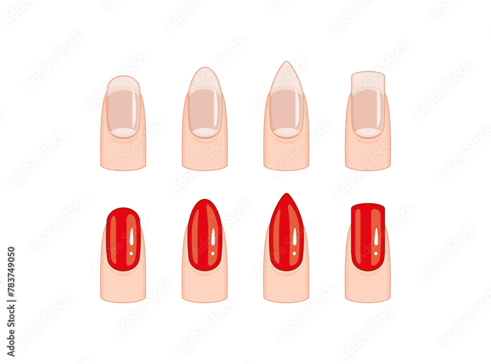 Four different pictures of a fingernail with a red tip. The first picture shows a fingernail with a red tip and a white background Four different pictures of a fingernail with a red tip. The first picture shows a fingernail with a red tip and a white background