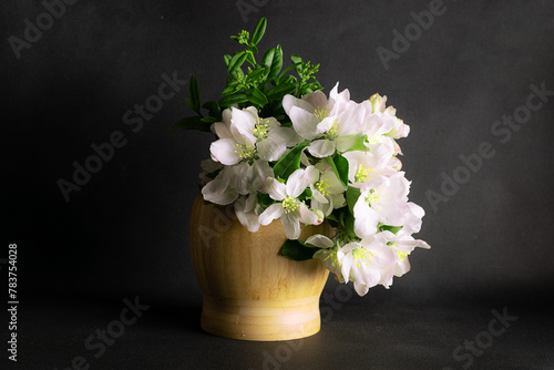 Wallpaper Mural Artistic composition with aromatic blooming apple twigs in the wooden vase on black background close up.
 Torontodigital.ca