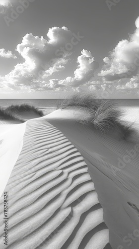 Black and white photo of sand dunes