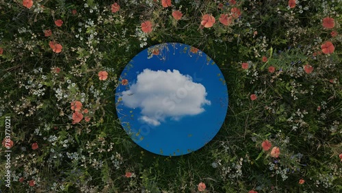 Circular mirror reflecting moving white cloud surrounded by spring meadow flowers