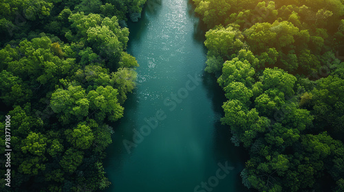 River and green forest on either side, rich forest aerial view © kitti