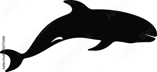 northern right whale silhouette photo