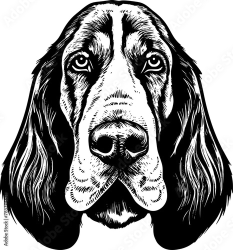Basset Hound - Minimalist and Flat Logo - Vector illustration