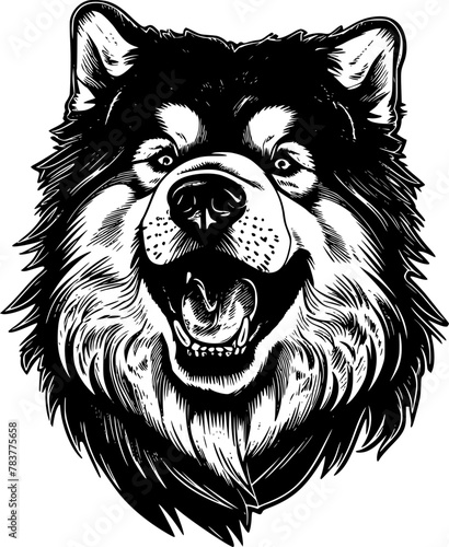 Alaskan Malamute | Black and White Vector illustration