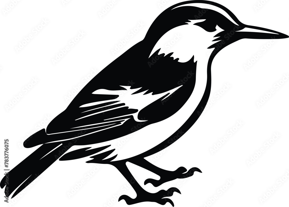 Fototapeta premium nuthatch silhouette