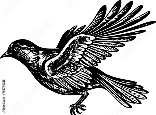 Sparrow - Minimalist and Flat Logo - Vector illustration photo