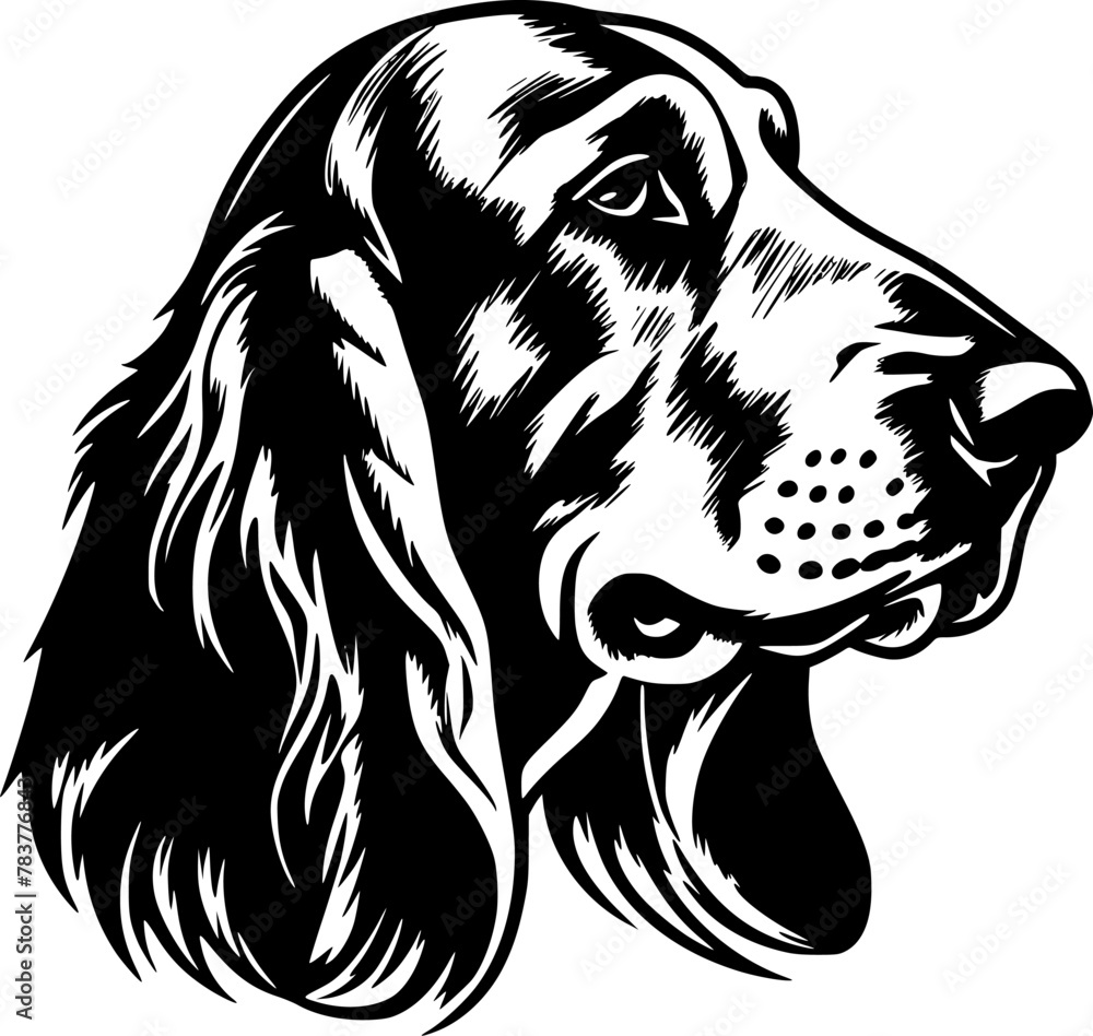 Fototapeta premium Basset Hound - High Quality Vector Logo - Vector illustration ideal for T-shirt graphic