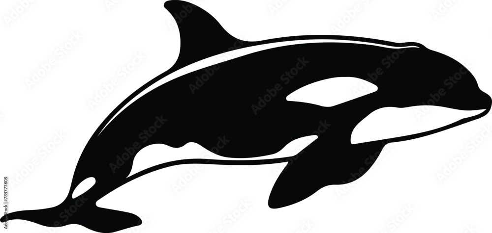 Fototapeta premium orca silhouette