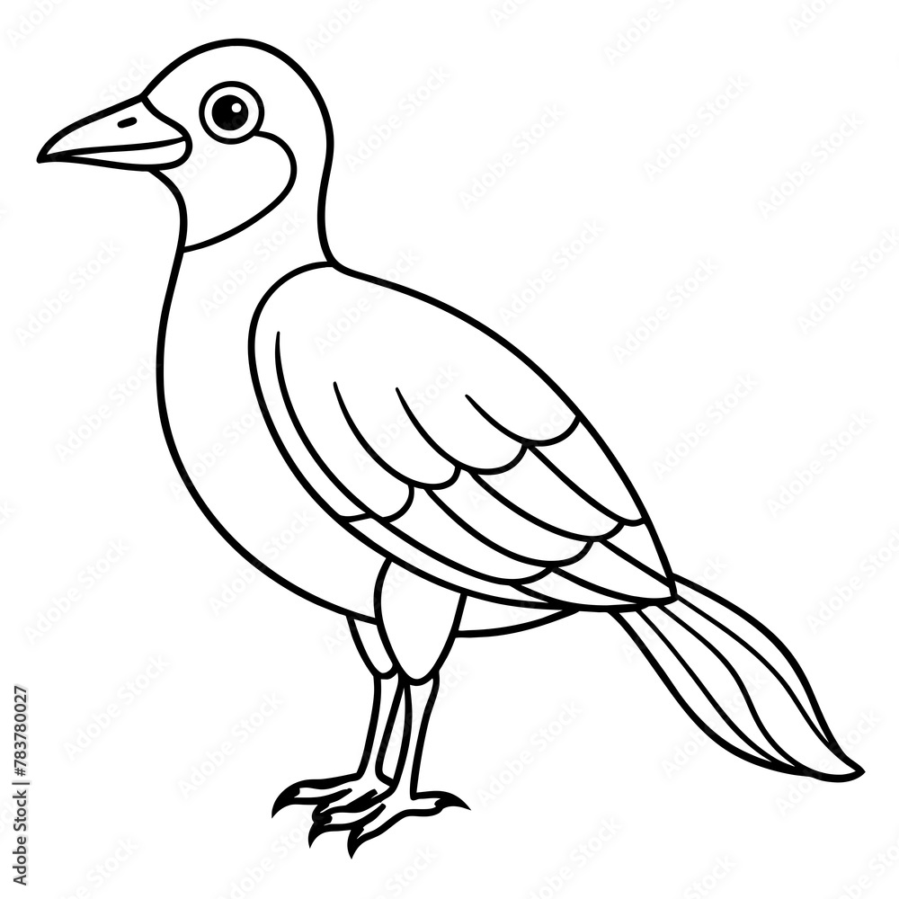 Bird vector illustration.
Bird vector illustration.