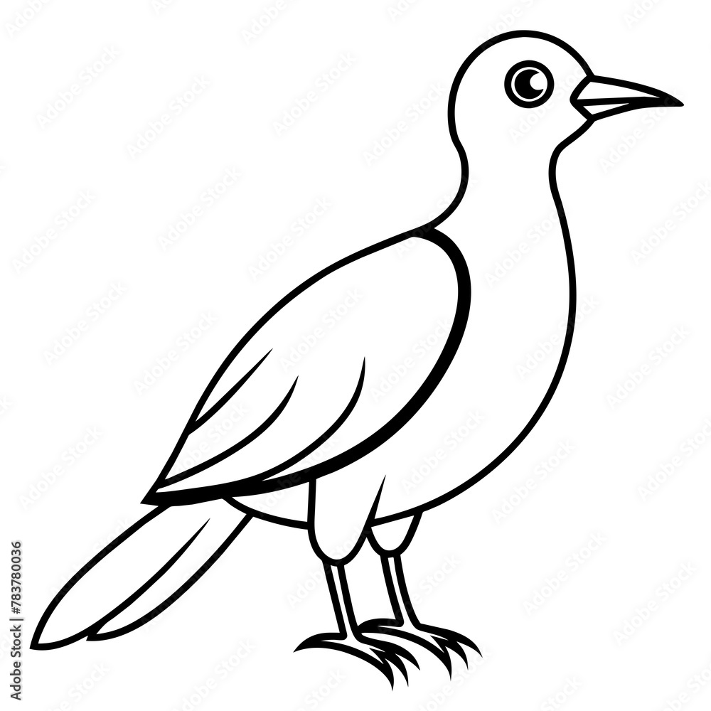 Bird vector illustration.
Bird vector illustration.