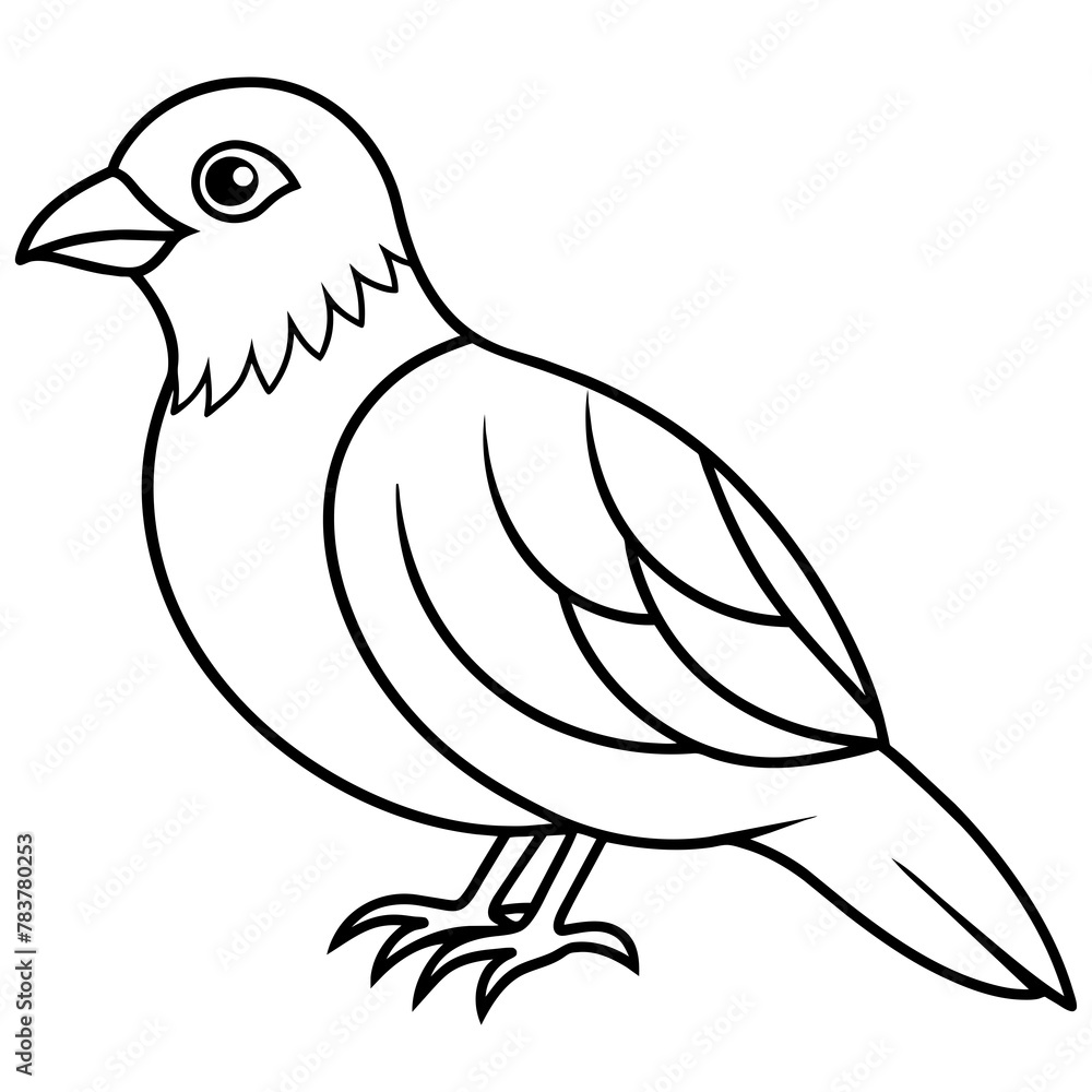 Obraz premium Bird vector illustration. 