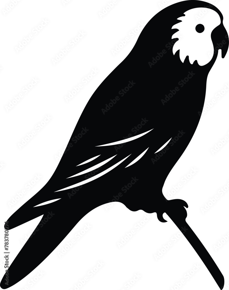Obraz premium parakeet silhouette