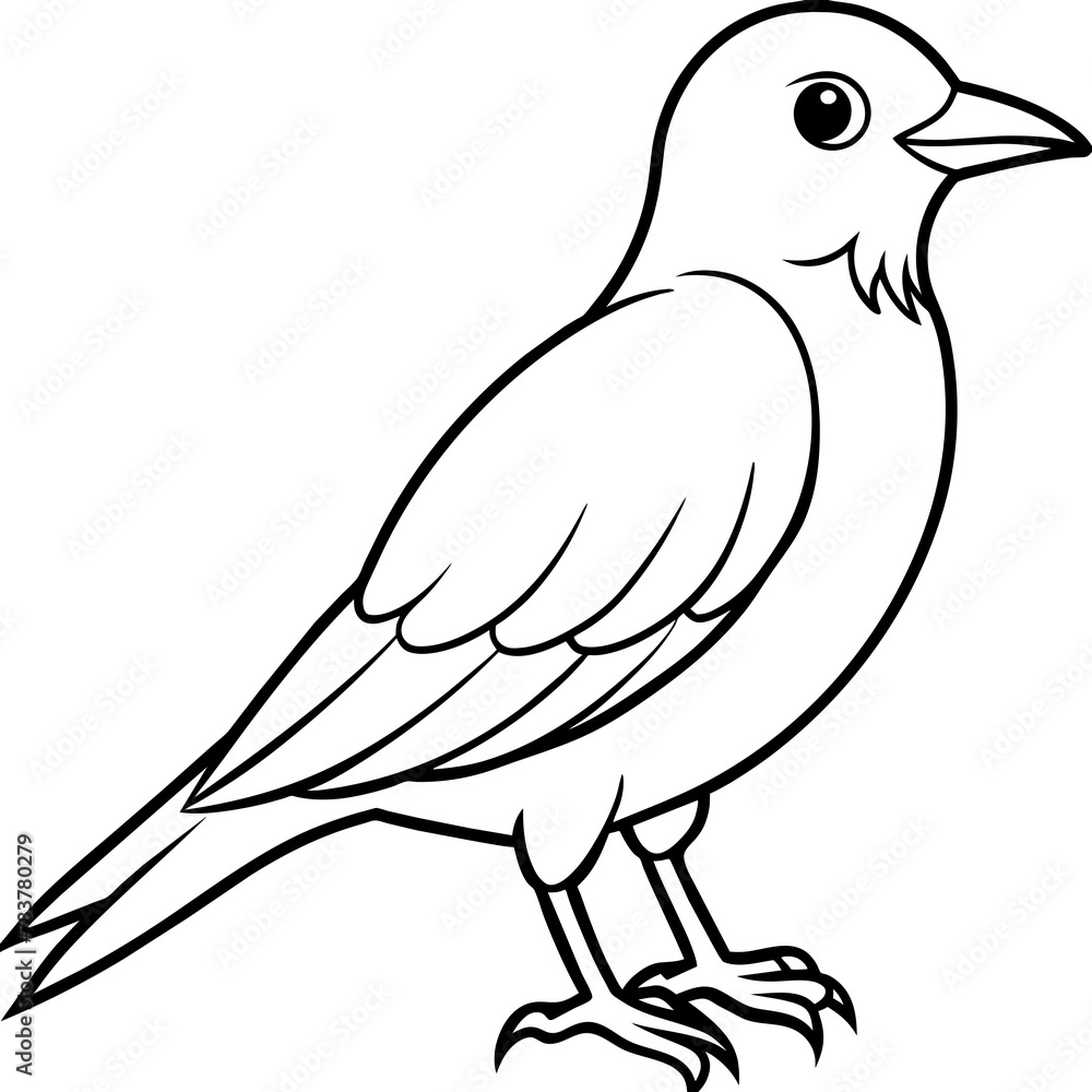 Bird vector illustration.
Bird vector illustration.