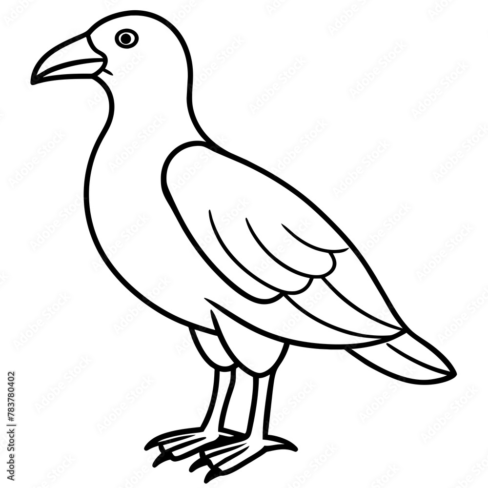  Bird vector illustration.

