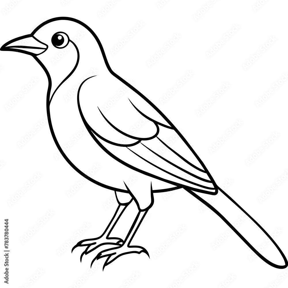 Bird vector illustration.
Bird vector illustration.