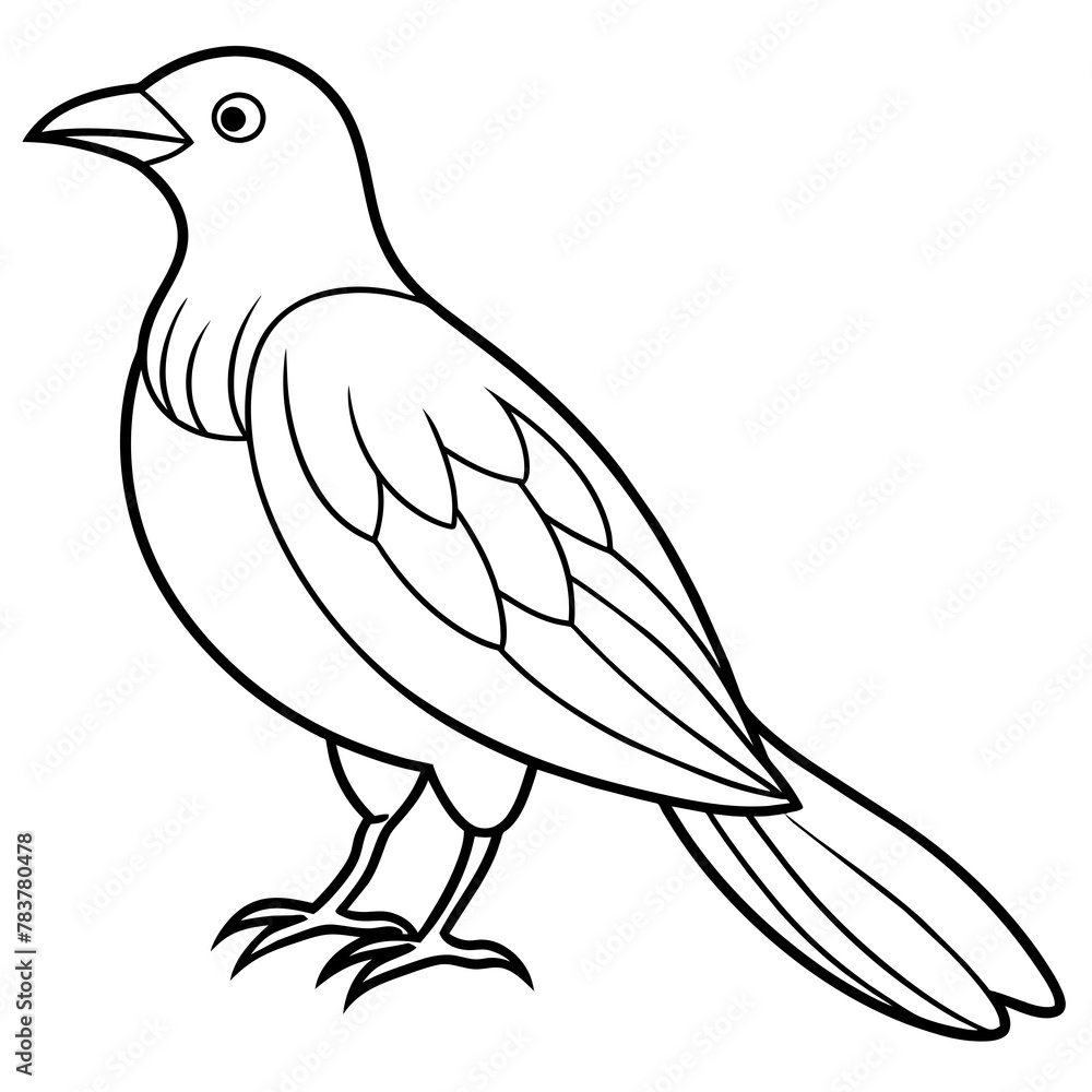 Obraz premium Bird vector illustration.