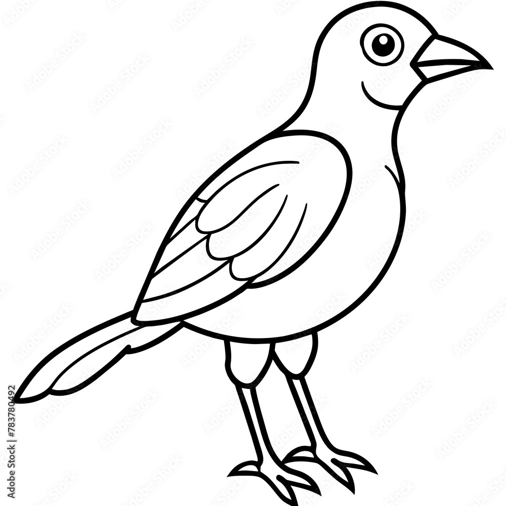 Obraz premium Bird vector illustration.