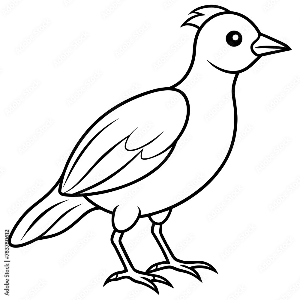 Bird vector illustration.
Bird vector illustration.