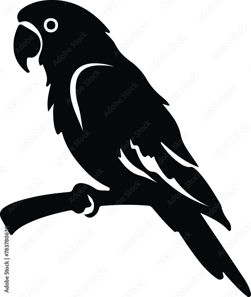 Obraz premium parrot silhouette
