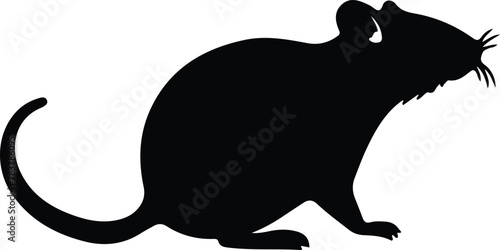 rat silhouette photo