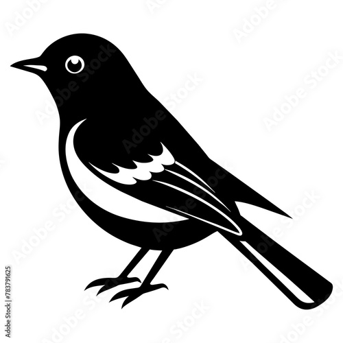 Magpie bird silhouette