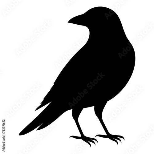 silhouette of a crow