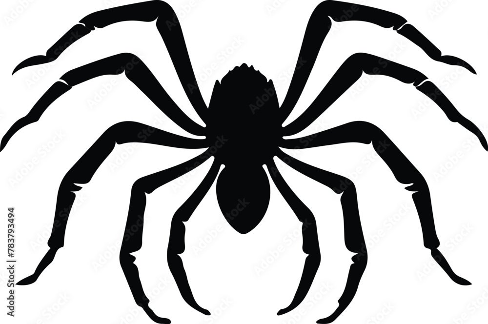 tarantula silhouette tarantula silhouette