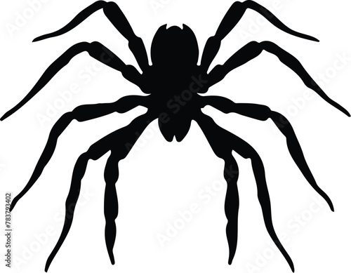 tarantula silhouette