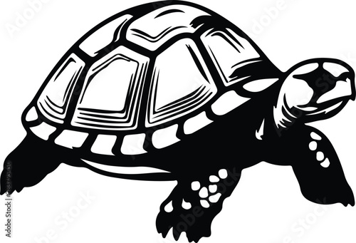 tortoise silhouette
