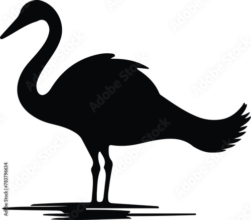 trumpeter swan silhouette