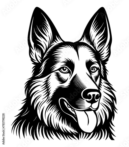 german shepard dog, portrait, isolated on white background-"Majestic German Shepherd Portrait: Purebred Canine Excellence"