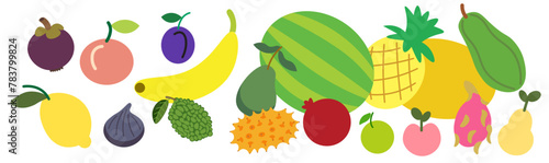 color isolated fruits collection in flat style in vector. image of natural healthy eco raw food.template for logo sticker poster print decor design