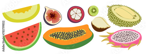 color isolated fruits collection in flat style in vector. image of natural healthy eco raw food.template for logo sticker poster print decor design
