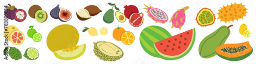 color isolated fruits collection in flat style in vector. image of natural healthy eco raw food.template for logo sticker poster print decor design