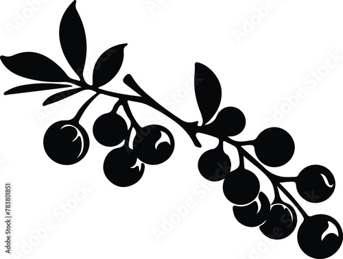 blueberry silhouette