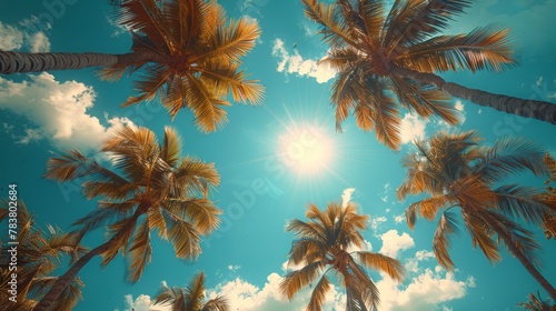 Tropical paradise - sunlight through palm trees © Denys