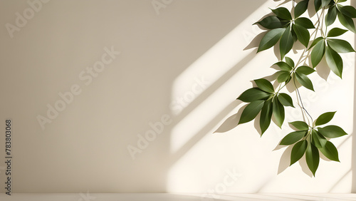 A refreshing image of leaves on an ivory wall, sunlight and leaf shadows.