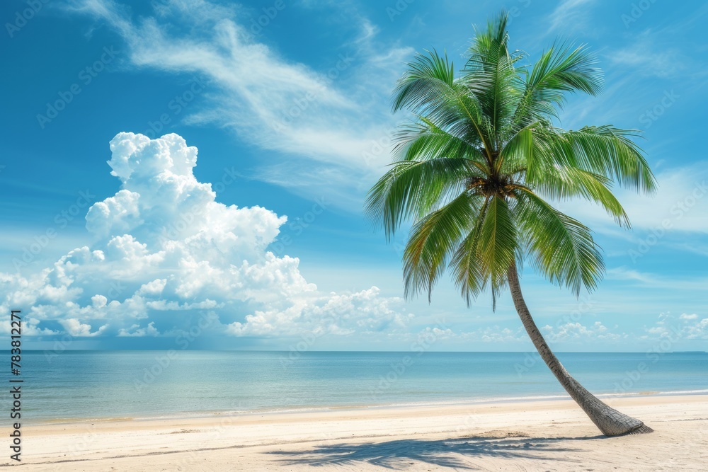 Big palm tree on a sunny day against the background of the blue sea with copy space. Concept of summer travel, vacation at sea or ocean